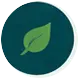 Green leaf